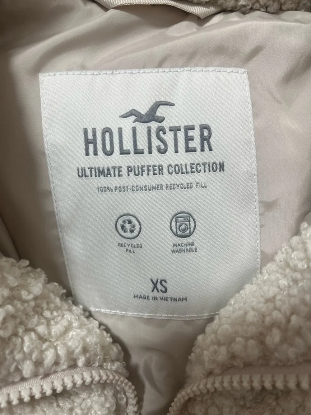 Hollister my daughter